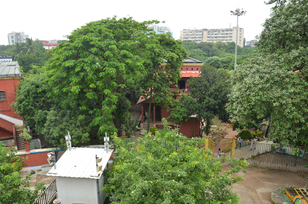 <h4>The Alipore Independence Museum</h4>